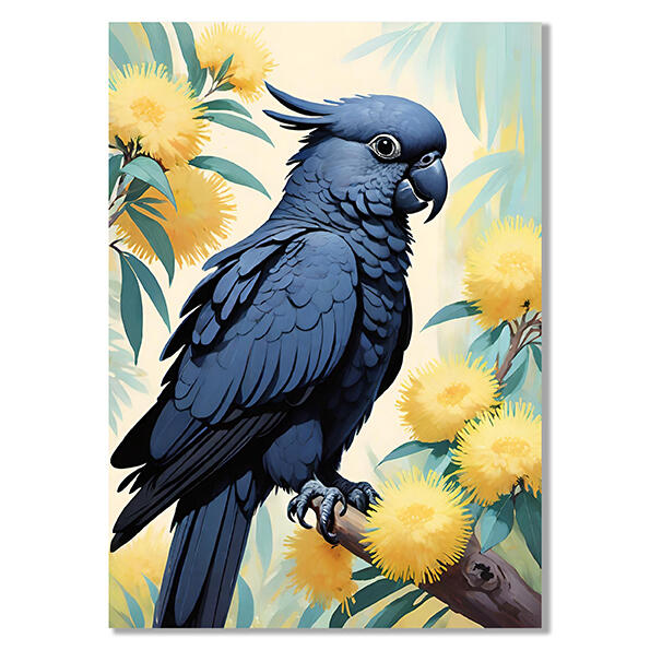 Black Cockatoo Wattle Poster
